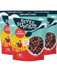 Seven Sundays Grain Free Real Cinnamon Sunflower Cereal ( Pack of 3) (227g per pack)