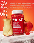 HUM Pro ACV Gummies -100% Organic Apple Cider Vinegar with The Mother, Probiotics for Digestive Health & B12 for Metabolism Support