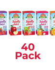 SunCup Totally Juice  40 Pack  423 oz Juice Box wStraw Orange Tangerine 100 Juice