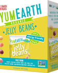 YumEarth Organic Jelly Beans  Fruity Candy Snack Packs Gluten Free Snacks for Kids  Allergy Friendly NonGMO No Artificial Flavors or Dyes  Assorted Flavors 75 oz Pack of 15