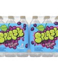 Splash Refresher Acai Grape Flavor Water Beverage 169 Fl Oz Plastic Bottles 24 Count