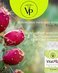 Vital Plus - Treatment for varicose Veins and Support Joint Structure - Energy Supplement - 100% Organic 60 Capsules