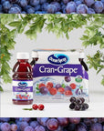 Ocean Spray Juice Drink Crangrape 10 Ounce Bottle Pack Of 6 60 oz in total