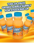 Sunny D Orange Juice Delight Tangy Orange Flavored Citrus Punch Drink 675 oz Individual Singles to Go Bulk Juice with Nosh Pack Bag 24 Pack