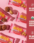 Sweet Nothings, Apple Cinnamon, USDA Organic Nut Butter Bites Protein Bar, Nut & Date Snack, Filled with Peanut Butter, 12-2 Bite Value Packs - No Added Sugar, Plant Based, Vegan, Only 7 Ingredients