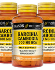 MASON NATURAL Garcinia Cambogia 500 mg Tablets, 60 Count, Pack of 3