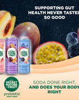 The Secret Nature of Fruit Probiotic Fruit Soda 3Flavor Variety Pack Supports Gut Health  Immunity 2 Billion Probiotics Zero Added Sugar 15 Fruit Juice High in Vitamin C  12oz Pack of 6