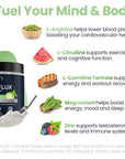 VitaFLUX Triple Power Nitric Oxide Supplement for Male Performance, Stamina, Energy, Recovery - L Arginine 2000mg, L Citrulline 1000mg, L Carnitine 1000mg, Zinc, Magnesium - 30 Day Supply, Mint Mojito