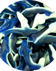 Blue Gummy Sharks Candy 2 Pound Bulk Bag The Hampton Popcorn  Candy Company