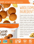 Homefree Mini Ginger Snap Cookies Organic Gluten Free Nut Free Vegan Individually Wrapped Packs School Safe and Allergy Friendly Snack 095 oz Pack of 10