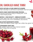 FreshDrinkUS Premium 140 Hibiscus Flowers Tea Bags 100 Natural Pure from Hibiscus Flowers Loose Flower Hibiscus Herbal Tea Hibiscus Flower Tea No Sugar No Caffeine No Gluten Vegan