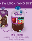 Plum Organics Stage 2 Organic Baby Food - Apple, Blackberry, Coconut Cream, and Oat - 3.5 oz Pouch (Pack of 12) - Organic Fruit and Vegetable Baby Food Pouch