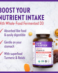 New Chapter Fermented Vitamin D3 2,000 IU, Organic, ONE Daily for Immune, Heart & Bone Support + Whole-Food Turmeric, Adaptogenic Reishi Mushroom, 100% Vegetarian, Gluten Free, 90 Count