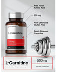 L Carnitine Supplement 500mg | 60 Capsules | as L-Carnitine L-Tartrate | Non-GMO and Gluten Free | by Horbaach