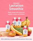 Sweetie Pie Organics Lactation Smoothie Mango Banana Supports Breastmilk Production for Nursing and Pumping  No Artificial Sweeteners Flavors or Dyes  12 Pack