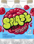 Splash Blast, Raspberry Flavored Water - with Electrolytes - 16.9 Fl Oz, 6 Pack