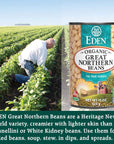 Eden Organic Great Northern Beans White Beans 15 oz Can 12Pack Case No Salt Added NonGMO Gluten Free US Grown Heat and Serve Macrobiotic Similar to Cannellini Smoother