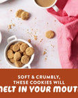 HighKey Low Carb Snickerdoodle Cookie  Keto Snacks Diabetic Desserts Diet Friendly Food Gluten Free Zero Carbs Treat Cinnamon Sweets Healthy Snack Foods Almond Flour Sugar Free Cookies 3Pack