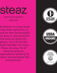 Steaz Antioxidant Brew Organic Yerba Mate Tea 16 oz Pack of 12 Berrytopia