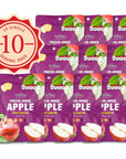 ONETANG FreezeDried Fruit Apple Chips 10 Pack SingleServe Pack Non GMO Kosher No Add Sugar Gluten free Vegan Holiday Gifts Healthy Snack 035 Ounce