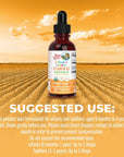 MaryRuth's Vitamin D3 Liquid Drops for Infants & Toddler | USDA Organic Liquid Vitamin D Spray for Infants & Toddlers | Immune Support & Bone Health | Vegan | Gluten Free | Non-GMO | 90-150 Servings