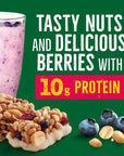 Nature Valley Protein Smoothie Berry Blend Bar 5 Count