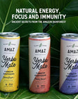 AMAZ Organic Sparkling Yerba Mate Tea with Adaptogens  Natural Energy Focus  Immunity  Plantbased  Zero Calories  Zero Sugar  Vegan  Sweetened with Monk Fruit  80mg Organic Caffeine  Sustainably Sourced from Regenerative Agroforestry Acai Blueberry