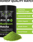 Inner Elevate Mushroom Matcha  Organic CeremonialGrade Matcha Powder with 4 Superfood Mushrooms  Adaptogenic Mushroom Tea Drink with Lions Mane Cordyceps Turkey Tail Reishi 30 Servings