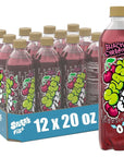 Splash Fizz Black Cherry Flavored Sparkling Water Zero Sugar with Electrolytes 20 Fl Oz 12 Pack