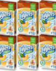 Wylers Light Singles To Go 6 Pack Peach Iced Tea Water Drink Mix 48 Total Powder Drink Mix Packets