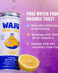 Natural Lemon Sparkling Water  Direct from Fruit Hydration No Added Sugar Low Calorie Drink Antioxidant  Vitamin Rich Organic Bubbly EcoFriendly Alternative to Flavored Water or Seltzer Water by WAJU 12oz Cans 12Pack