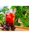 Karibbean Flavours Sorrel Hibiscus Concentrate  750 Ml  26 Fl Oz  Makes Refreshing Cool Drink  Natural Vitamin C