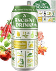 ANCIENT DRINKS Sekanjabin - 16 fl oz (12 cans)