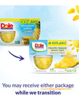 Dole Fruit Bowls Pineapple Tidbits in 100 Juice Snacks 4oz 24 Total Cups Gluten  Dairy Free Bulk Lunch Snacks for Kids  Adults