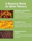 CocoaVia Memory  Focus Brain Supplement 30 Day Cocoa Flavanol Blend Lutein Added Caffeine for Boost Improve Cognitive Function Attention Vegan  Plant Based 30 Capsules