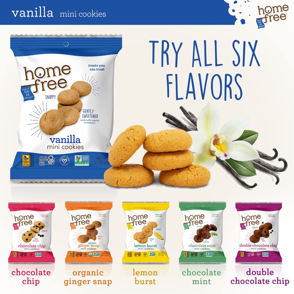 Homefree Mini Vanilla Cookies Gluten Free Nut Free Vegan Individually Wrapped Packs School Safe and Allergy Friendly Snack 11 oz Pack of 10