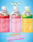 Mogu Mogu drink Variety Pack (6 Bottles) Drinks