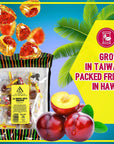 Asia Trans Golden Plum Crack Seed Drops  Hawaiian Favorite  Sweet Sour  Salty Dried Asian Plum Hard Candy 35 oz