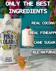 Lt Blenders Pina Colada in a Bag  Pina Colada Drink Mix  Each Bag Makes 12 Gallon of Slushie Pina Colada Mix  Cocktail Mix  Make a Cocktail Wine Slushie or Mocktail  Pack of 4