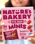 Natures Bakery Fig Bar Minis Raspberry Whole Grain Vegan Friendly Kosher NonGMO 10 Ounce Pack of 6