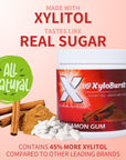 XyloBurst Gum  Xylitol Chewing Gum  Sugar Free Gluten Free Keto Friendly  Aspartame Free Gum For Oral Health  Cinnamon  100Count Jar