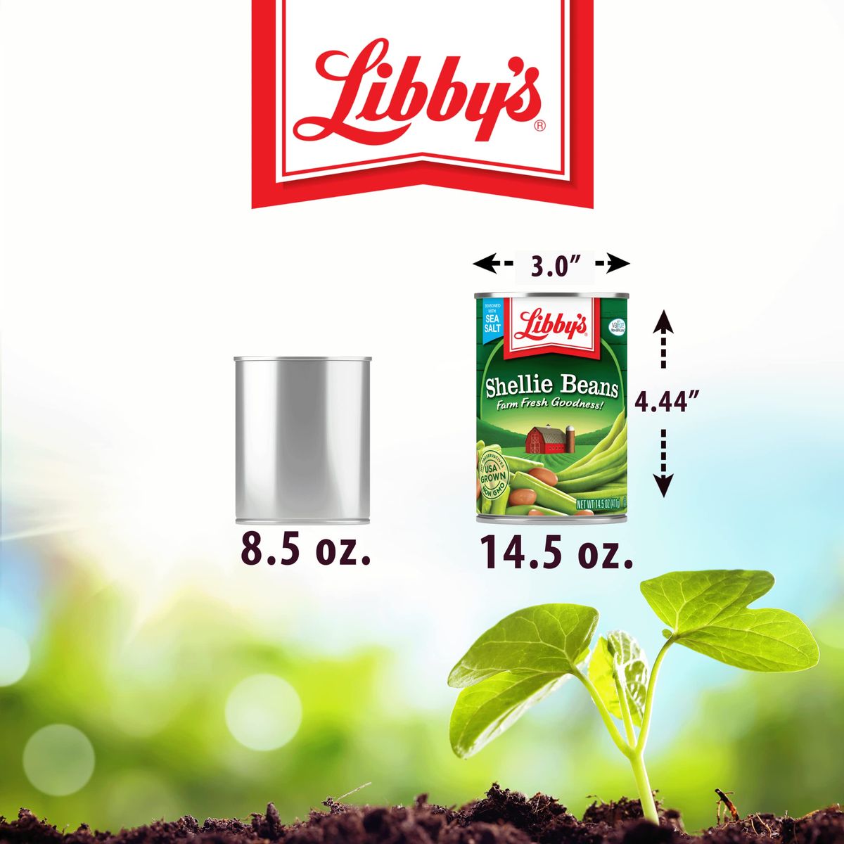 Libbys Shellie Beans  Cut Green Beans and Pinto Beans  Delicious Mild  Subtly Sweet  CrispTender Bite  Seasoned with Sea Salt  Grown  Made in the USA  145 oz can Pack of 12