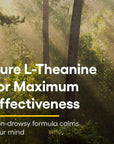 Stress-Relax Chewable Suntheanine L-Theanine 100 mg by Natural Factors, Non-Drowsy Stress Support for Mental Calmness and Relaxation, Tropical Fruit Flavor, 120 Tablets