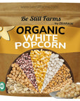 Be Still Farms White Organic Popcorn Kernels 48lb  Hulless Uncooked Corn Bulk Ideal for Popping  Healthy Microwave Snacks Great for Movie Night  USA Grown  USDA Certified  NonGMO  Vegan