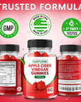 Apple Cider Vinegar Gummies 1000mg - Vitamin B12, Beetroot, Pomegranate, Natural Digestion, Detox, Weight Management & Immune Health - Raw ACV with The Mother, Vegan, Non-GMO, Gluten-Free, 60 Gummies