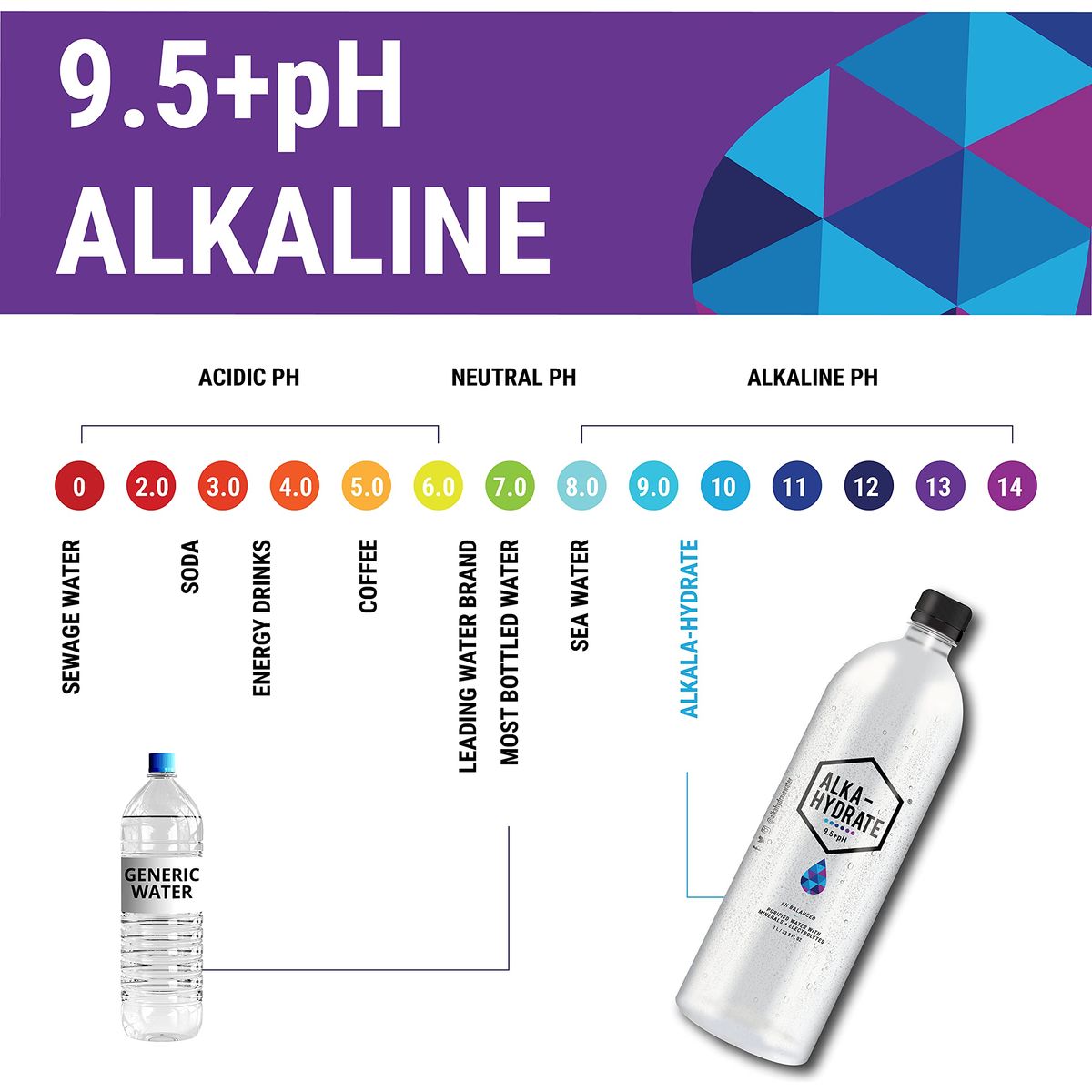 ALKAHYDRATE Natural Artesian Purified Alkaline Water with Minerals and Electrolytes  500mL Bottle  169oz Case of 12