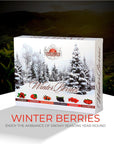 Basilur Winter Berries Tea Collection  60ct Assorted Ceylon Black Tea Sampler  Flavors of Raspberries Sea Buckthorn Blackcurrant Barberries Lingonberries Cranberries  Ideal Gift for Tea Enthusiastss