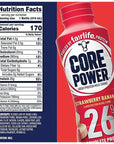 BETRULIGHT Fairlife Power Protein Shakes - Value Pack of 6