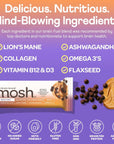 MOSH Peanut Butter Chocolate Crunch Protein Bars 12g GrassFed Protein Keto Snack GlutenFree No Added Sugar Lions Mane B12 Vitamins Supports Brain Health Workout Recovery Breakfast ToGo 12 Bars