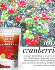 powbab Dried Cranberries Unsweetened  100 USA Grown Organic Dried Cranberries No Sugar Added No Oil No Apple Juice Concentrate Infused No Sulfites Dried Fruit Not Sweetened or Reduced 29 Oz